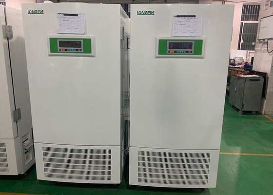 Hochs und Tiefs-konstante Temperatur-Feuchtigkeits-Kammer mit großem LCD-Bildschirm